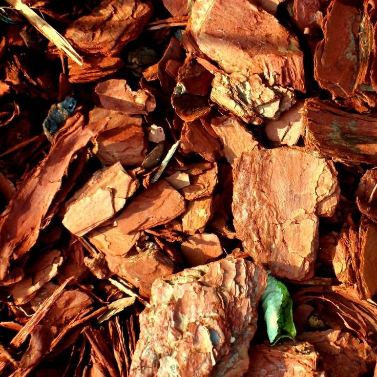 Ingredient Image 3