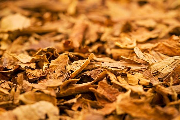 Ingredient Image 2