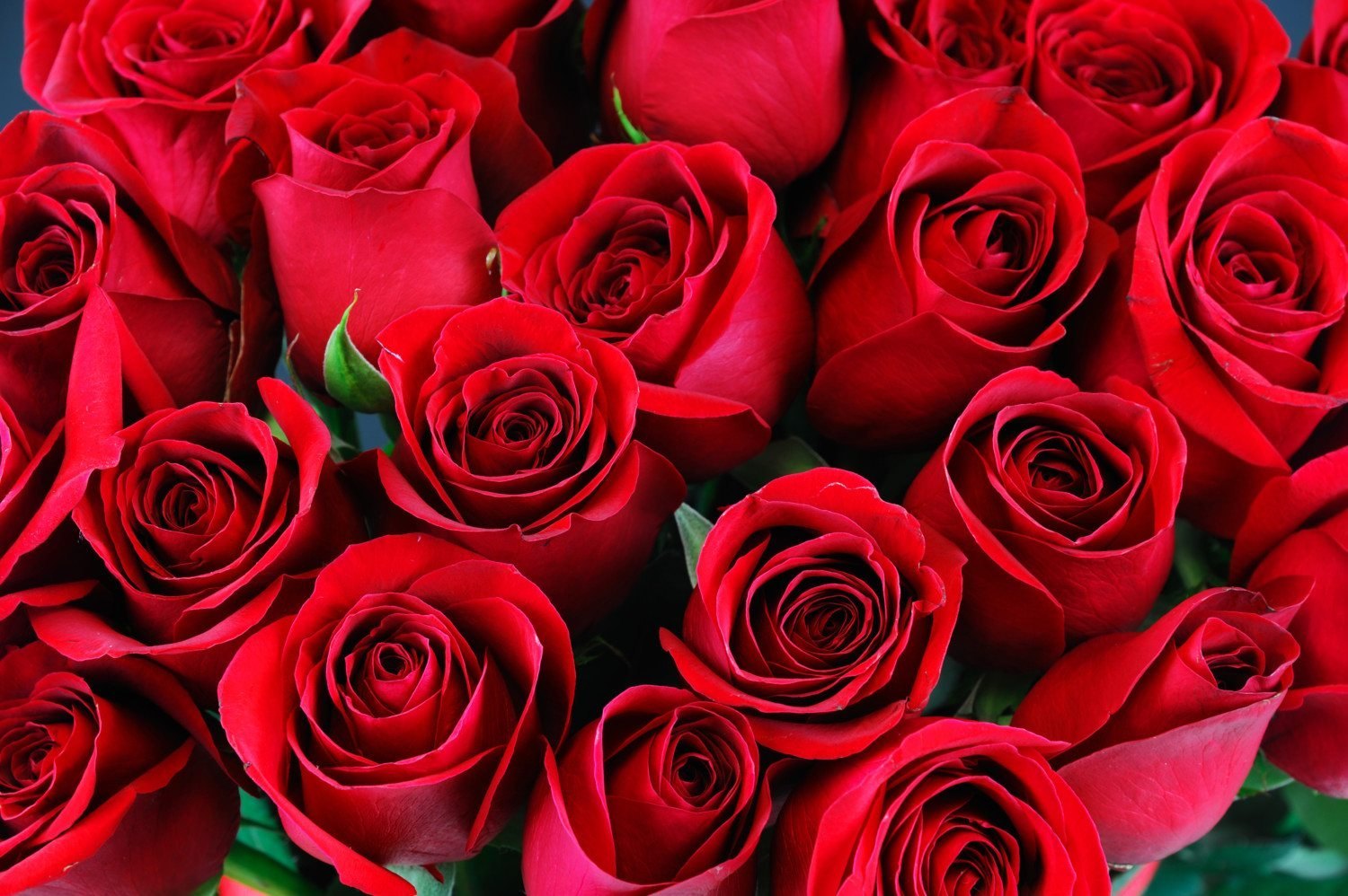 Ingredient Image 1