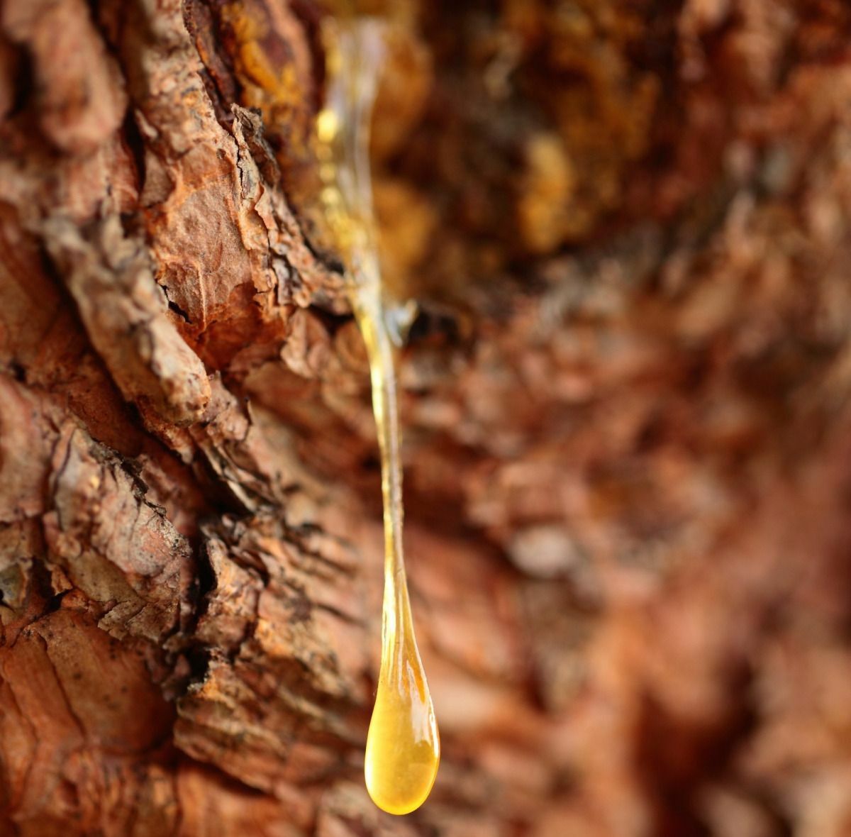 Ingredient Image 1