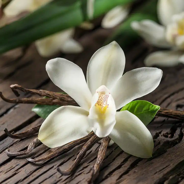 Ingredient Image 2