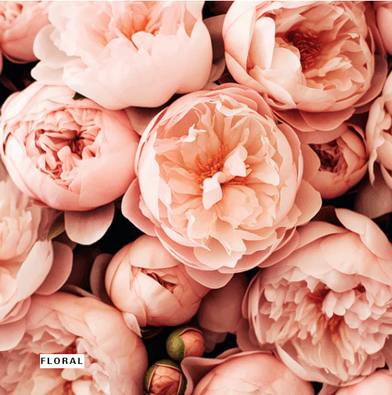 Floral