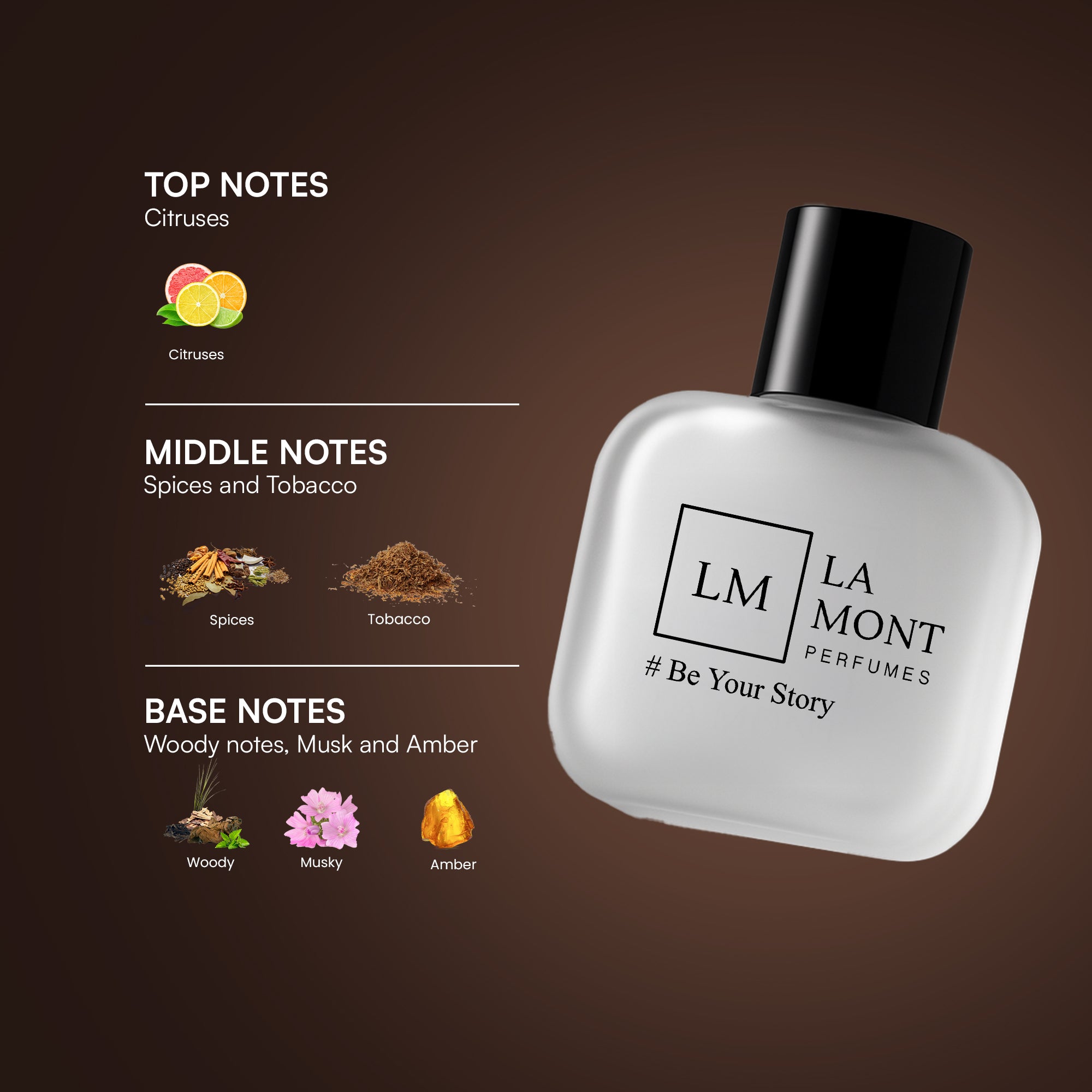 Desert Musk | EDP | Amber, Musk