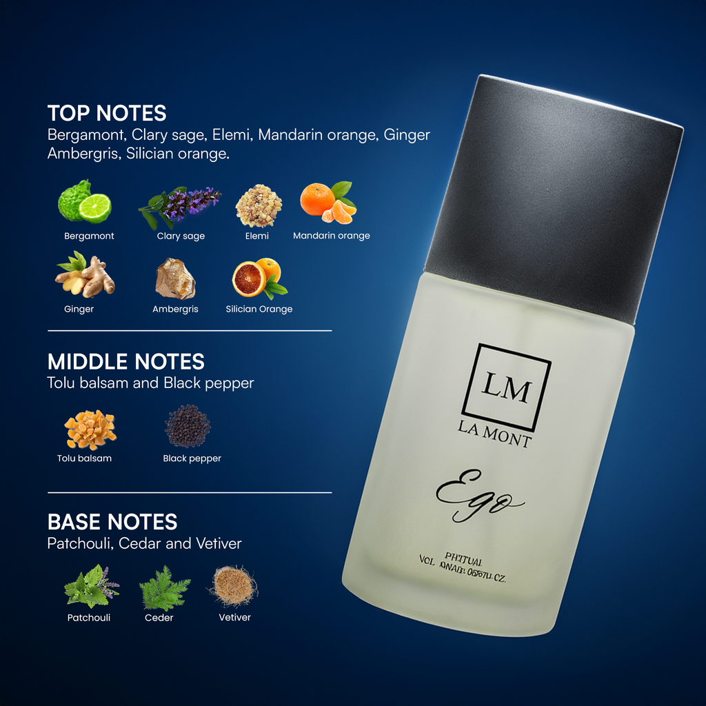 EGO Perfume For Men - 100ml