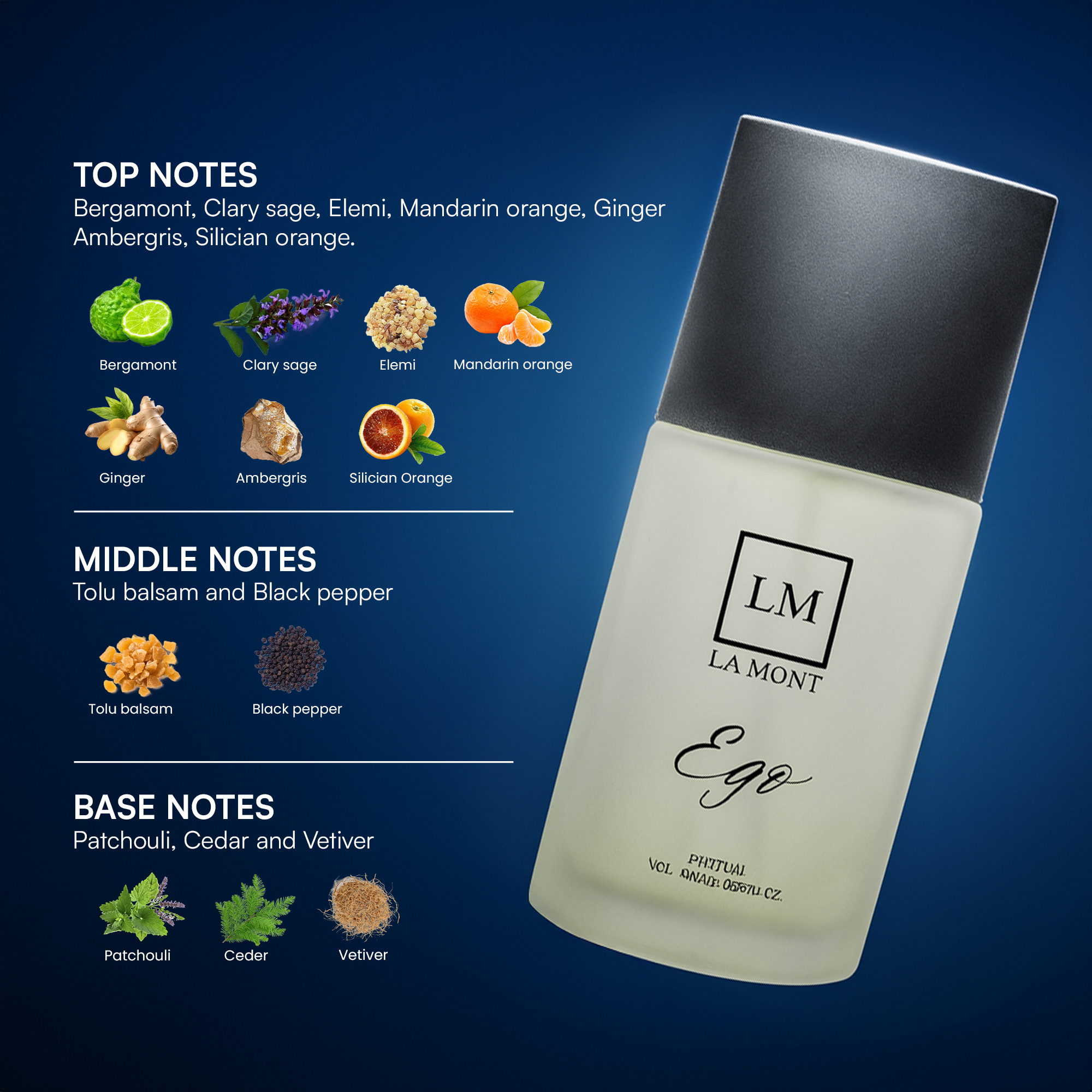 EGO Perfume For Men - 100ml