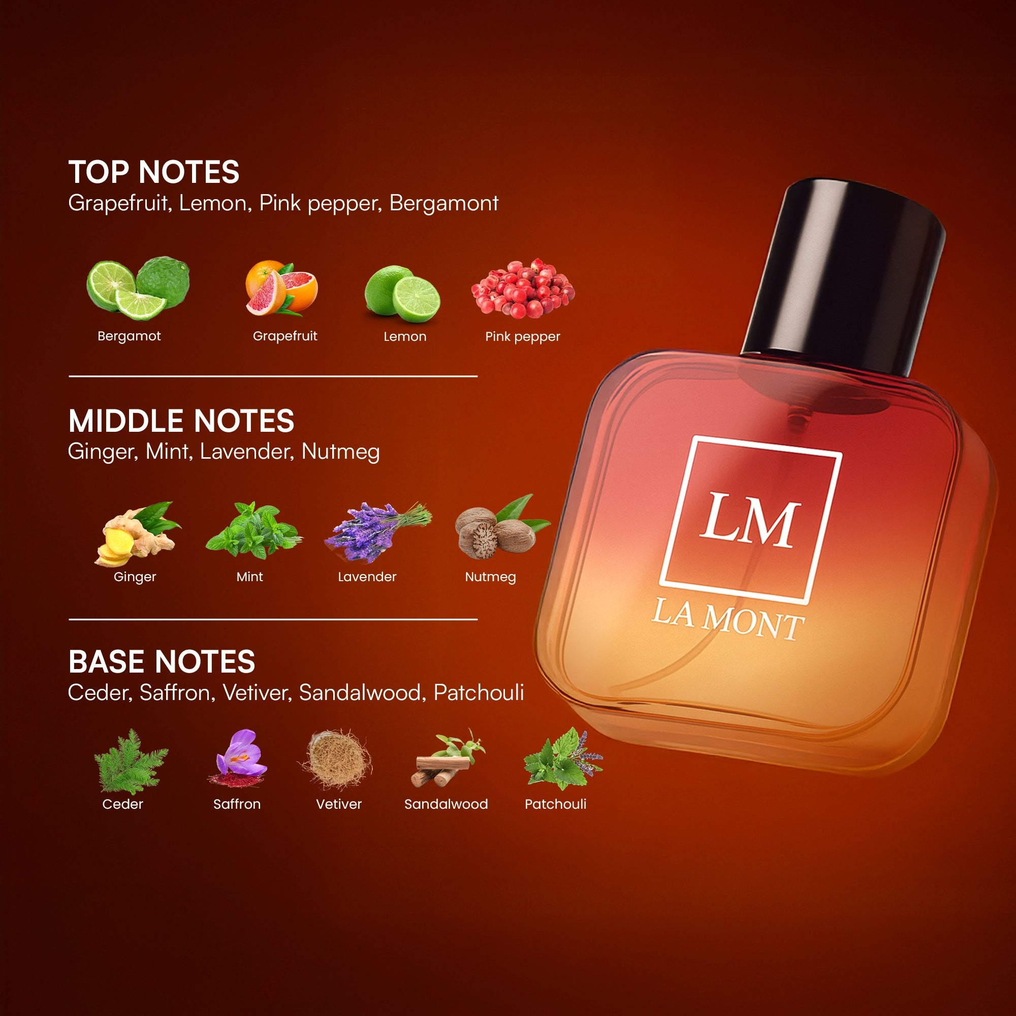 DIJON Signature Collection Unisex Perfume - 50ml