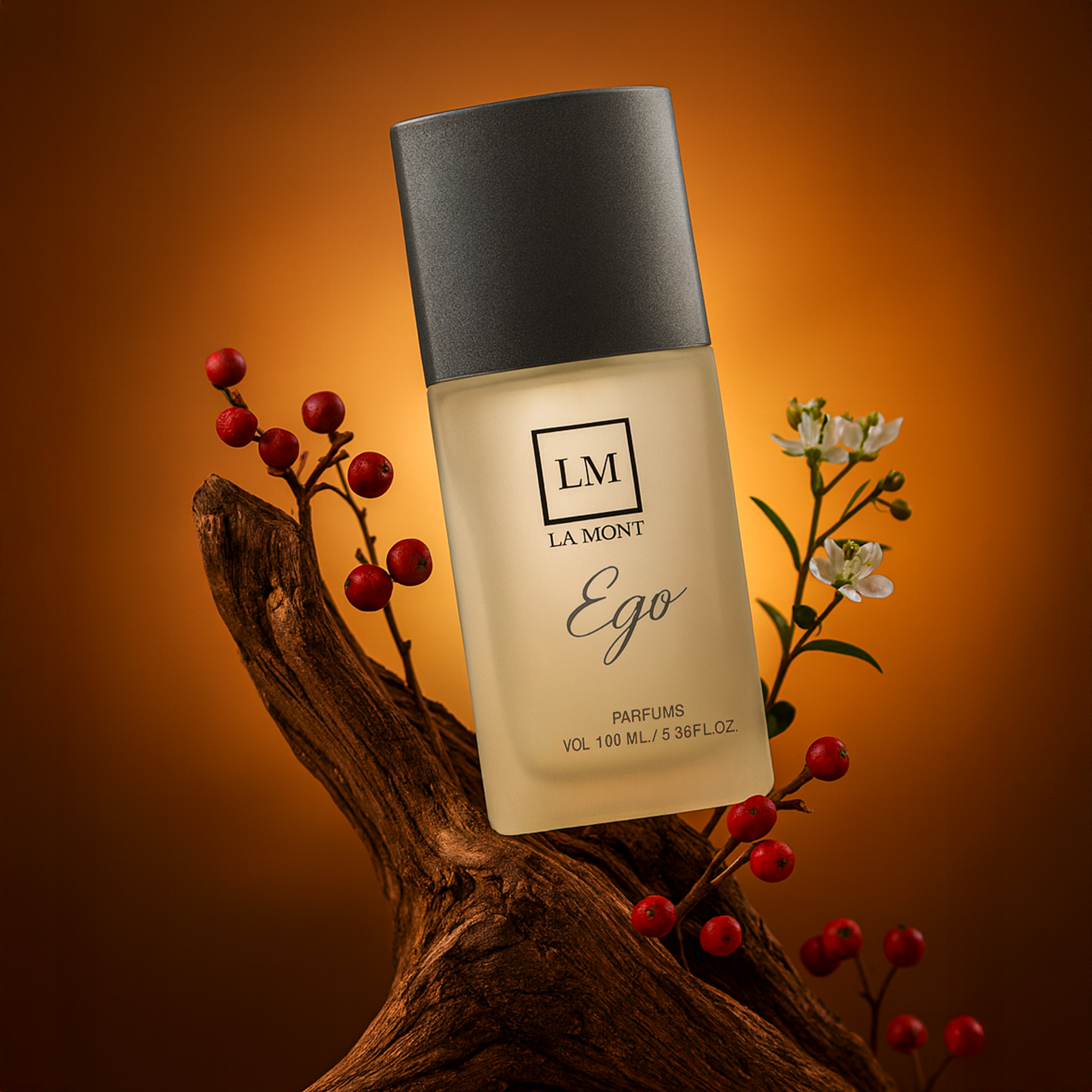 EGO Perfume For Men - 100ml