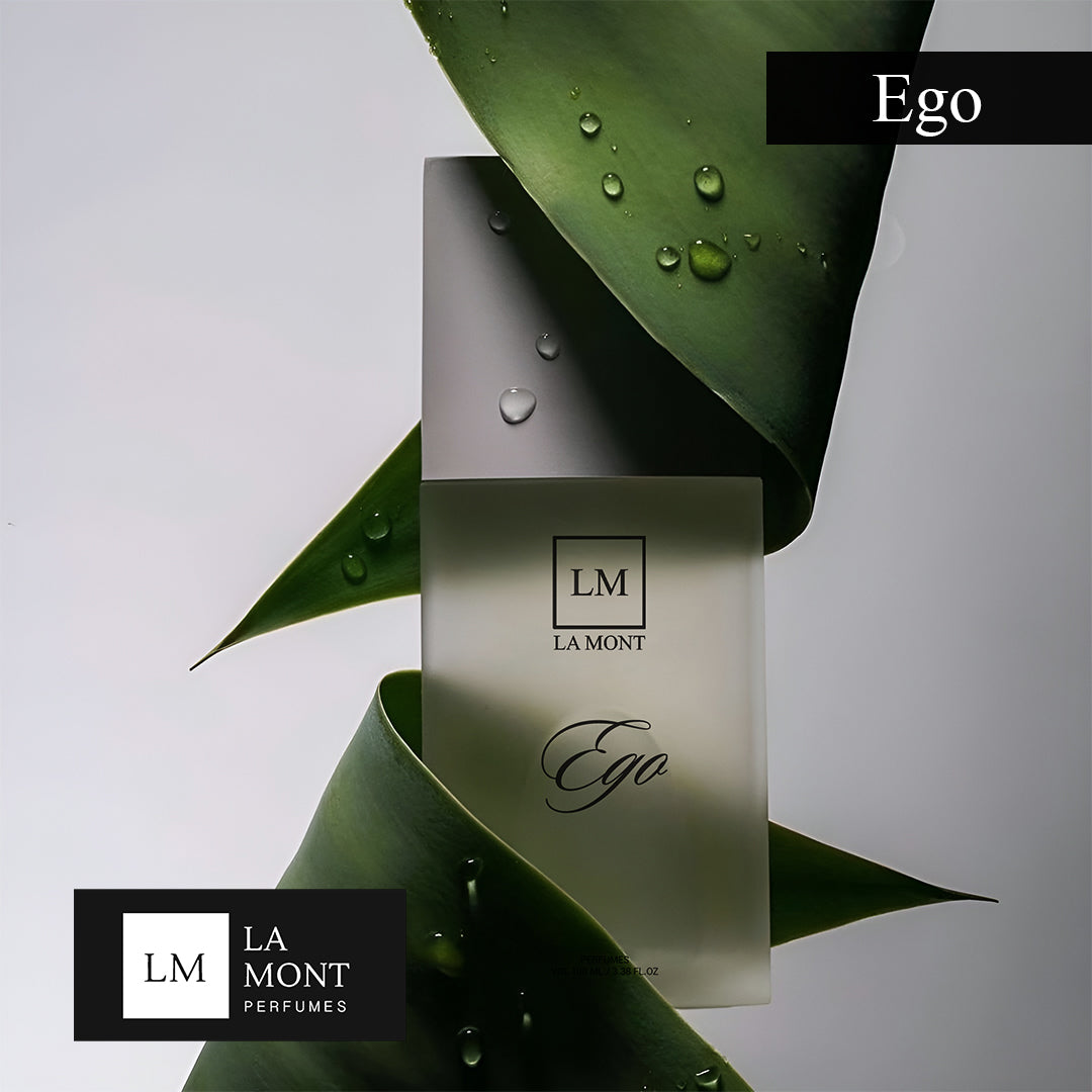 EGO Perfume For Men - 100ml