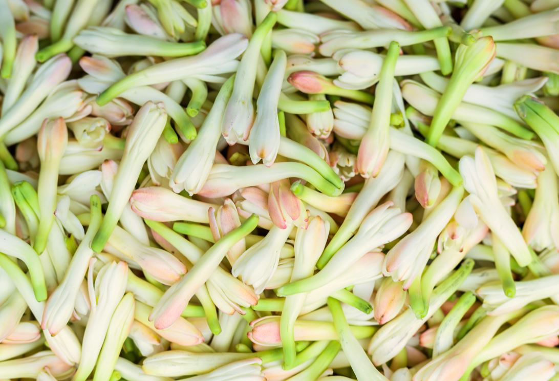 Ingredient Image 1