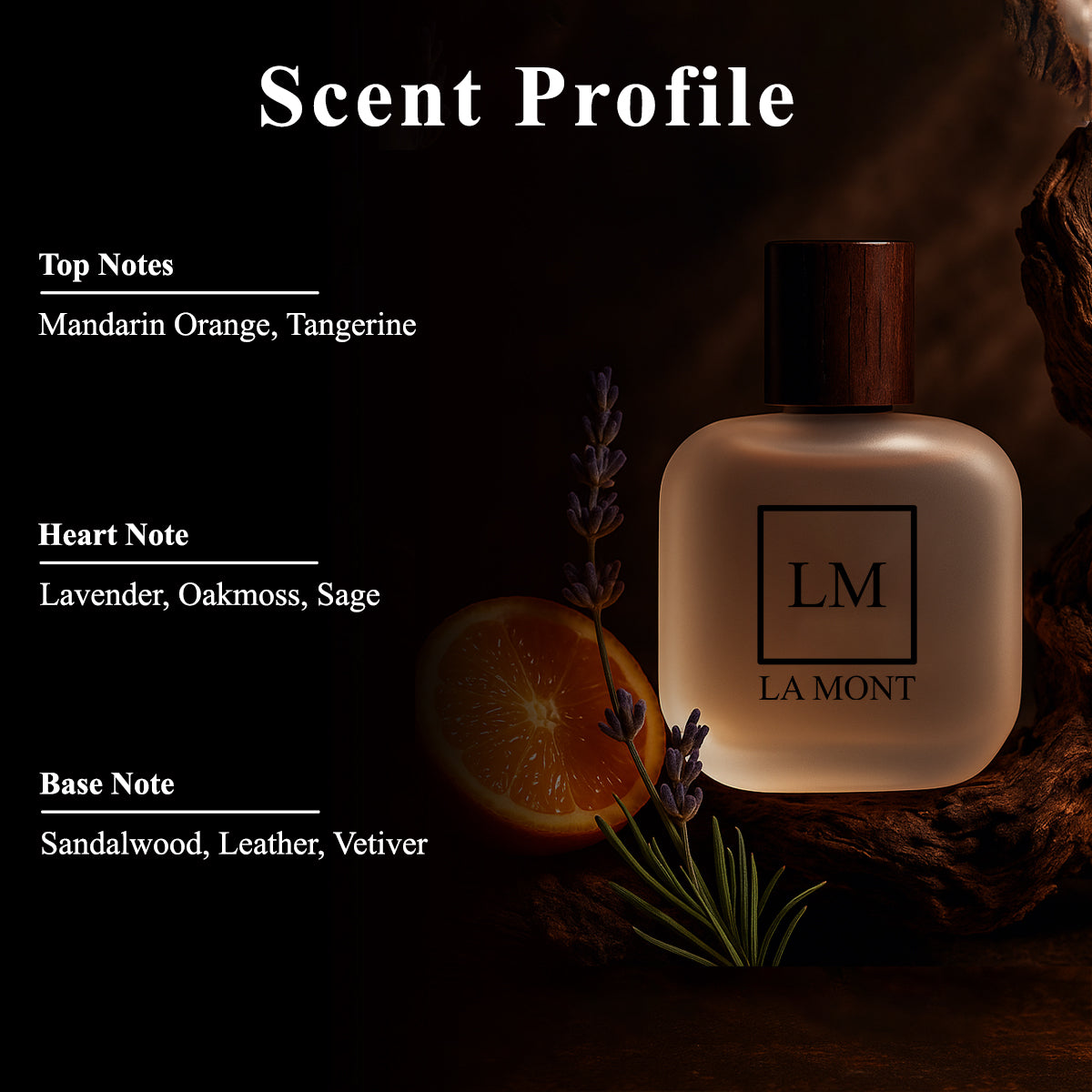 LUMINOUS NIGHT Perfume For Women