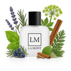 MAGNET Perfume For Men