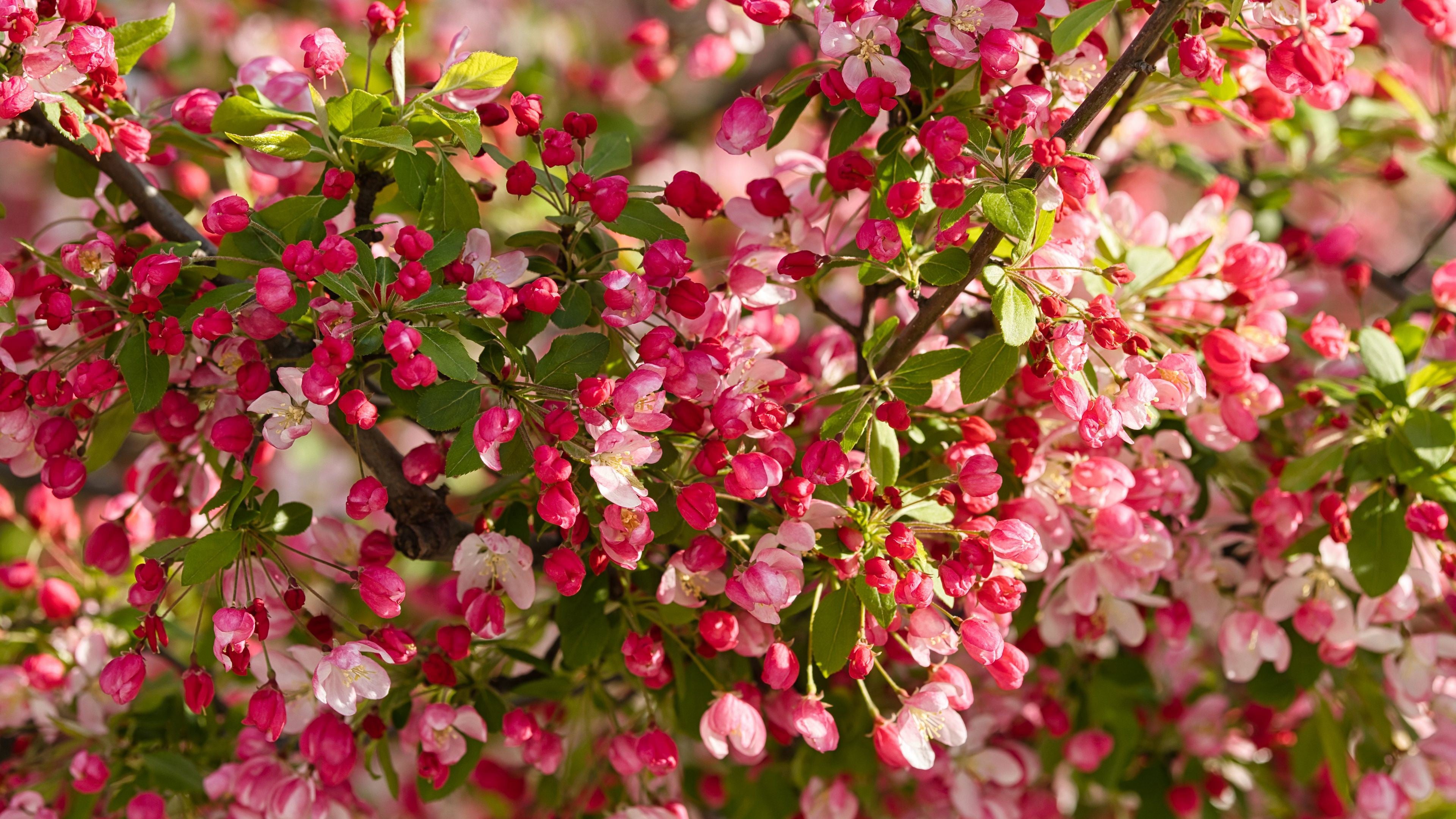 Ingredient Image 1