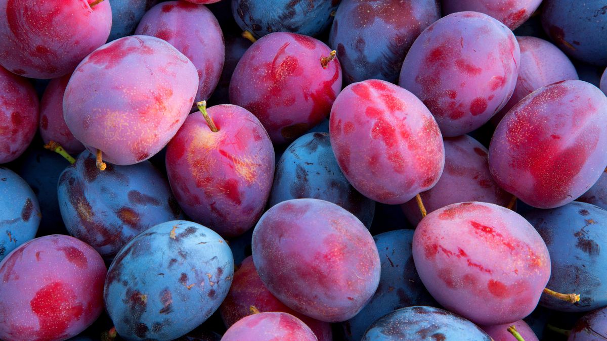 Ingredient Image 2