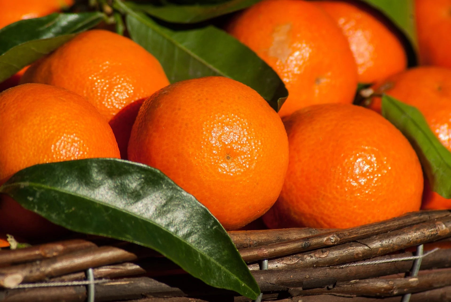 Ingredient Image 1