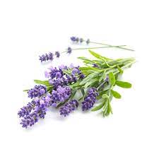 Ingredient Image 1